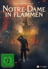 Notre-Dame in Flammen - Cover